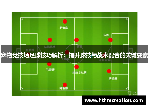 宠物竞技场足球技巧解析：提升球技与战术配合的关键要素